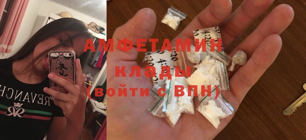 прущие грибы Кулебаки