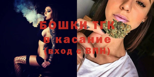 прущие грибы Красноперекопск