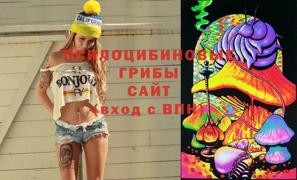 прущие грибы Кулебаки