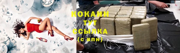 прущие грибы Кулебаки