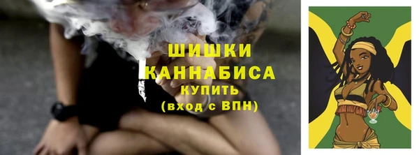 прущие грибы Кулебаки