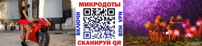 купить наркоту  Ревда  Псилоцибиновые грибы мухоморы 