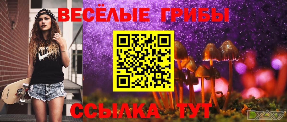 Галлюциногенные грибы GOLDEN TEACHER Ревда
