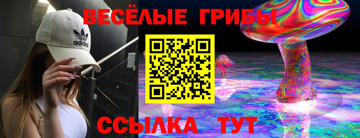 Галлюциногенные грибы GOLDEN TEACHER  Вход с VPN  Ревда 